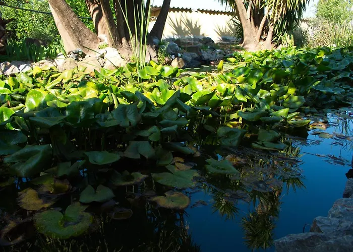 Elgeorge * קלמאטה